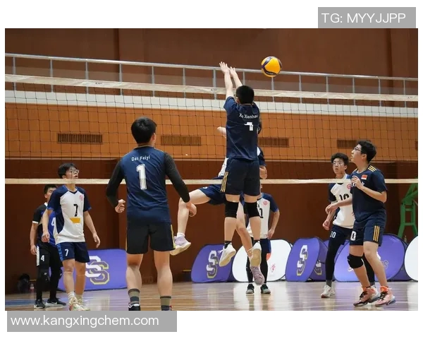 上海排球队精英赛精彩表现分析团队协作的重要性与未来展望