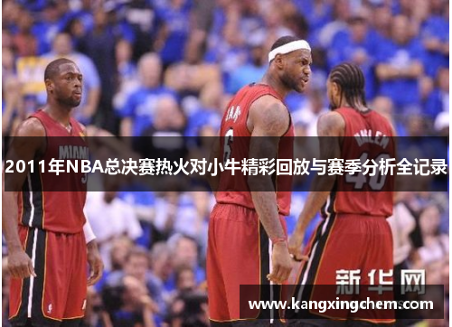 2011年NBA总决赛热火对小牛精彩回放与赛季分析全记录